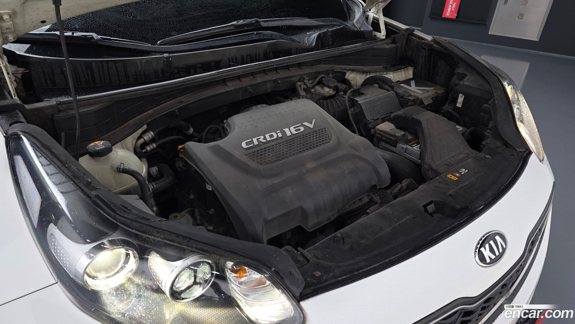 Main__Slider__Photo:Sportage Kia 2016.6-5