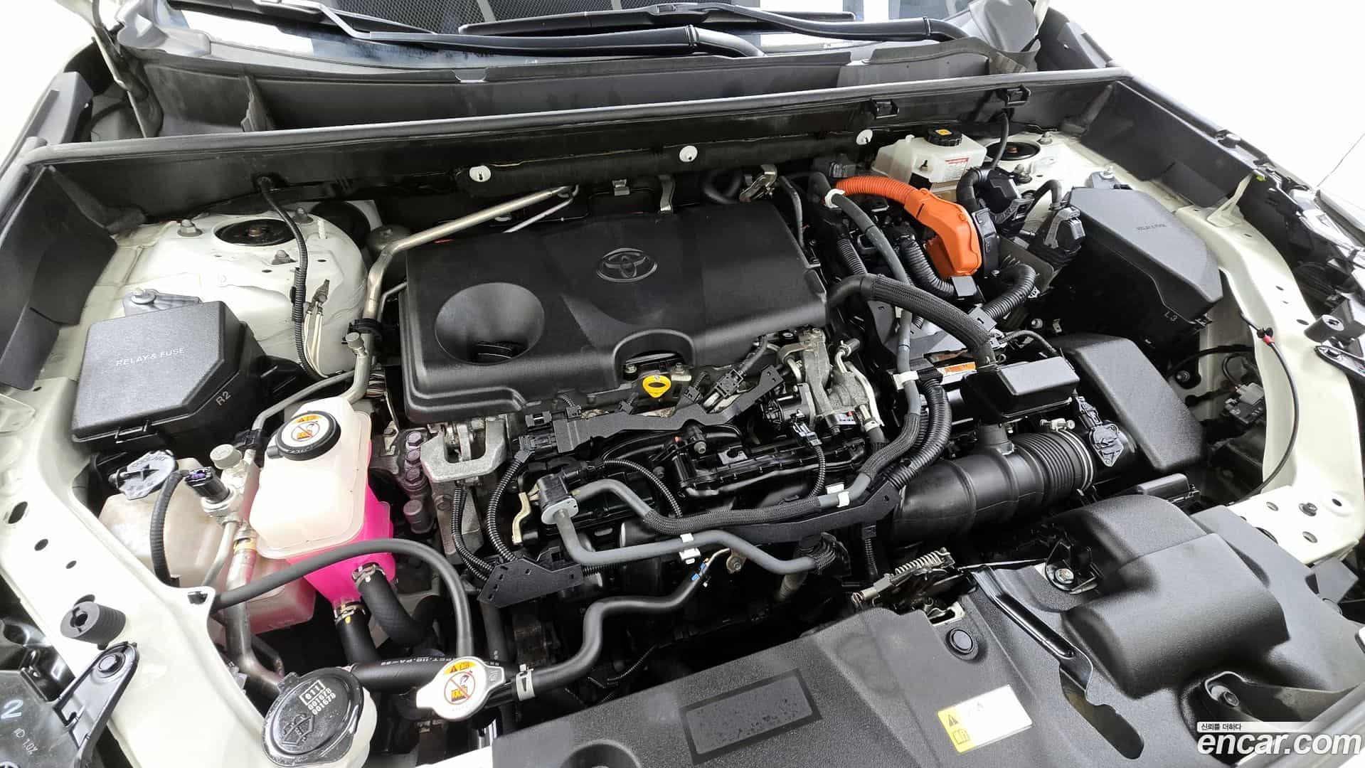 RAV4 Toyota 2020.1-OUTER-006