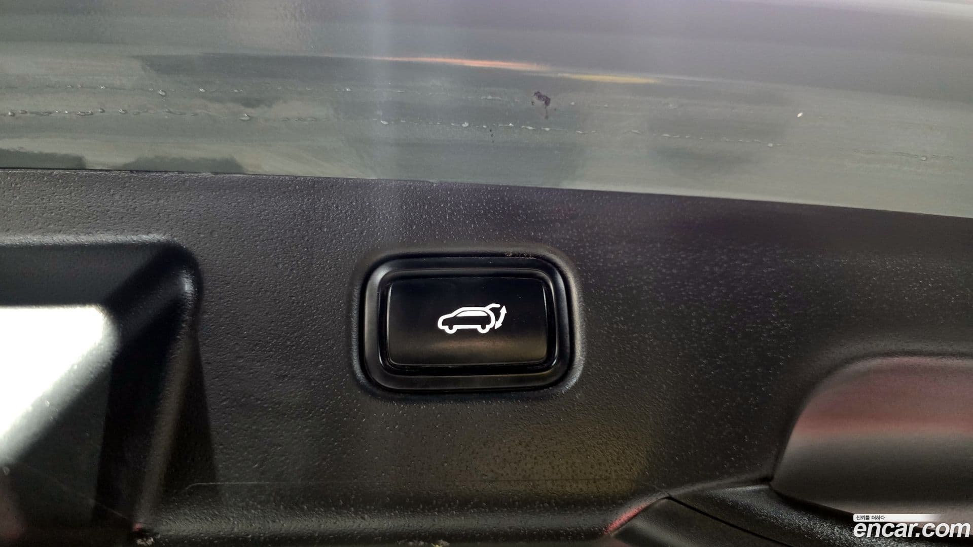 Main__Slider__Photo:Niro Kia 2022.3-19