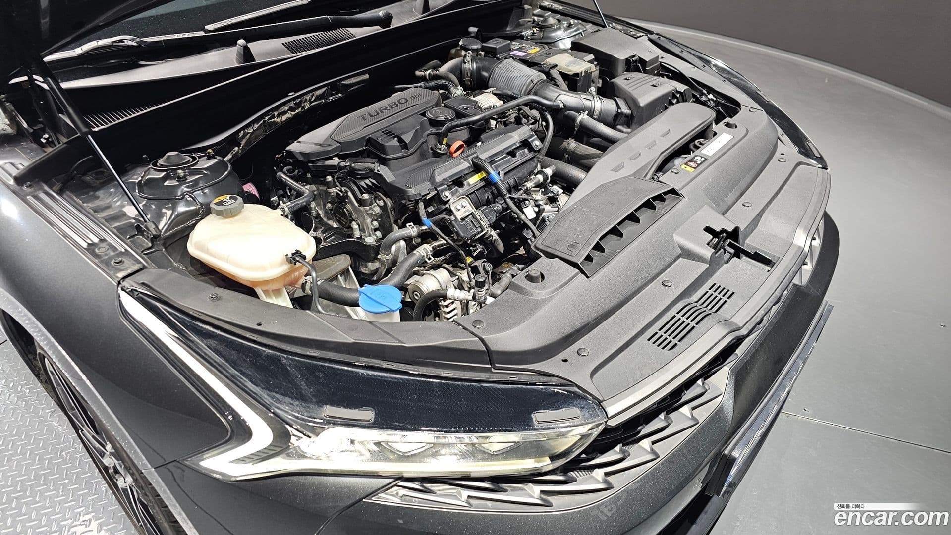 Main__Slider__Photo:K5 Kia 2023.1-5