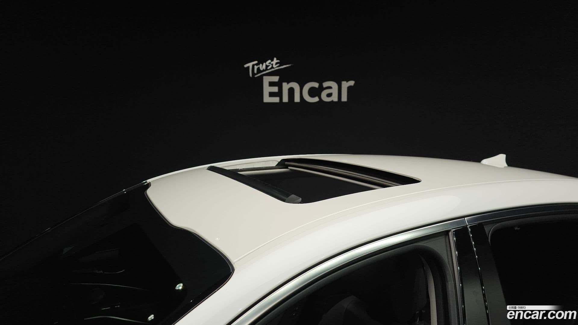 Main__Slider__Photo:K9 Kia 2020.2-19