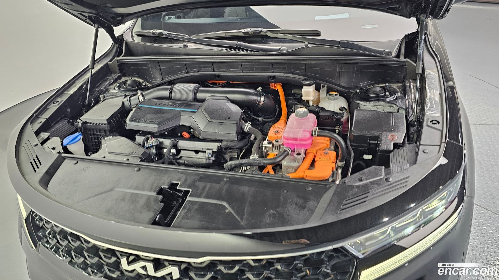 Main__Slider__Photo:Sorento Kia 2023.2-5