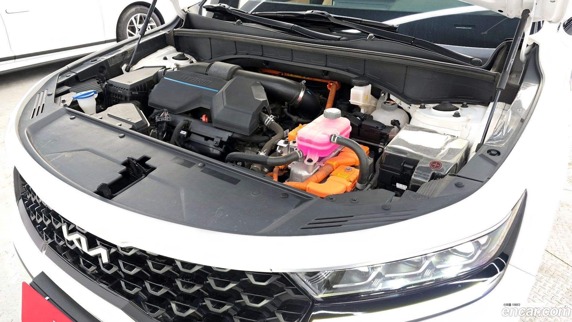 Main__Slider__Photo:Sorento Kia 2022.3-5