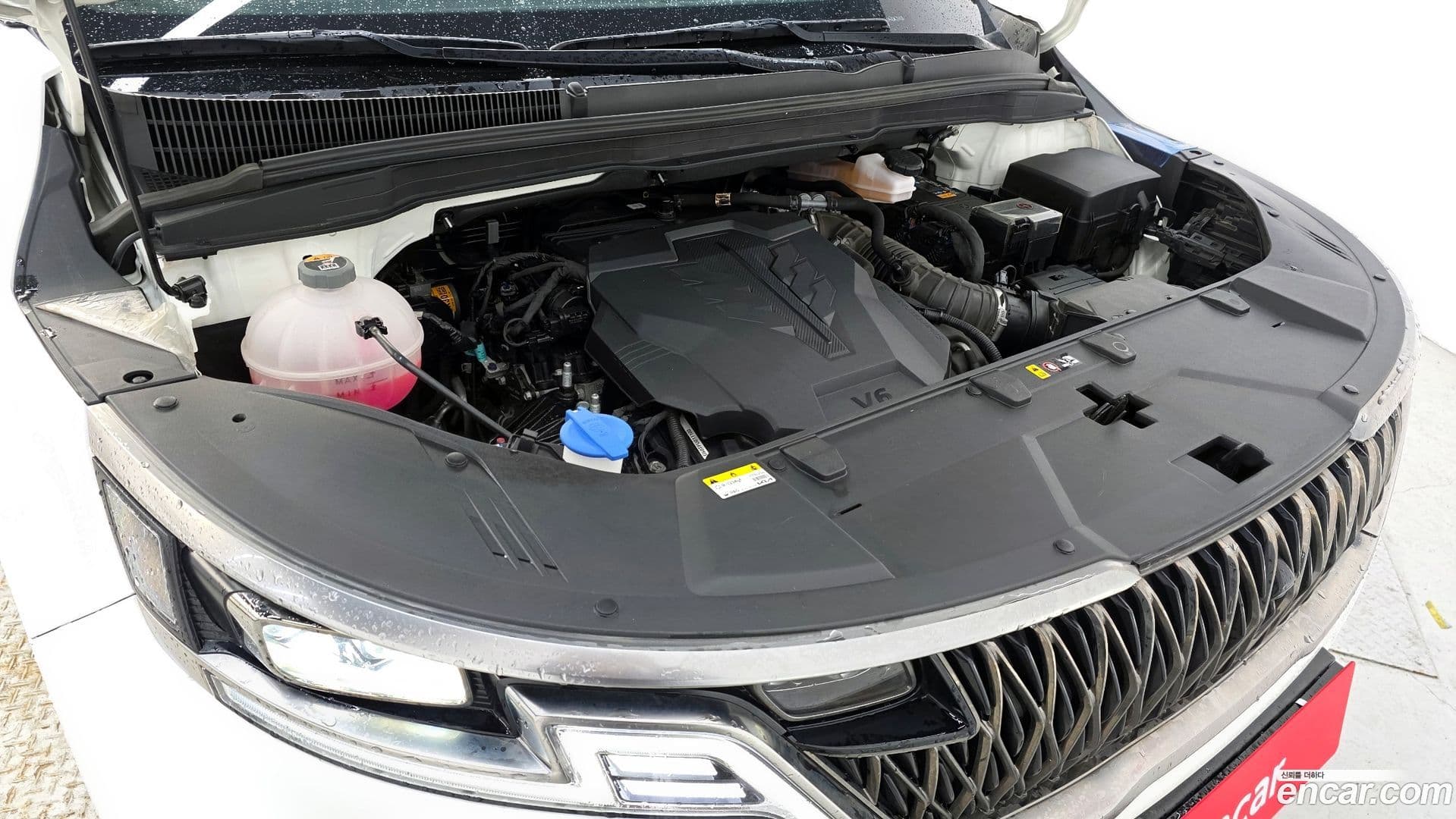 Main__Slider__Photo:Canival Kia 2023.2-5