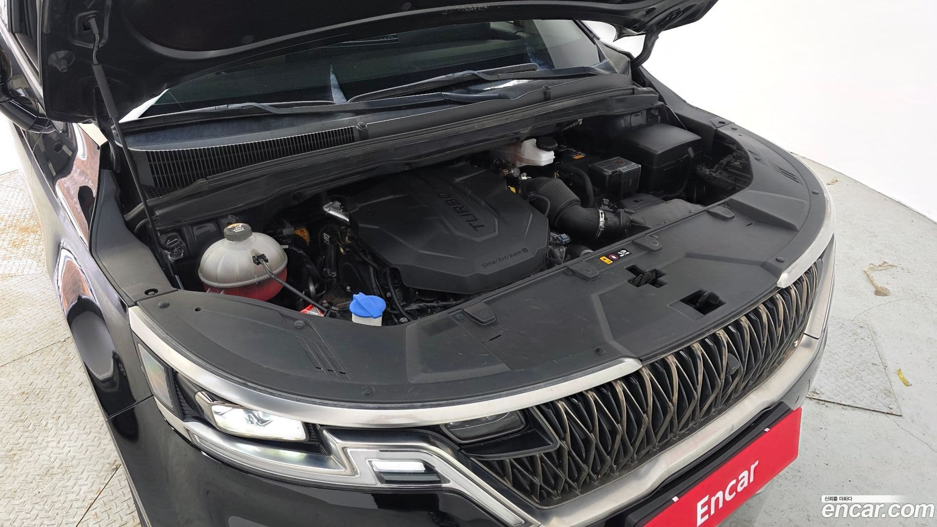 Main__Slider__Photo:Canival Kia 2022.2-5