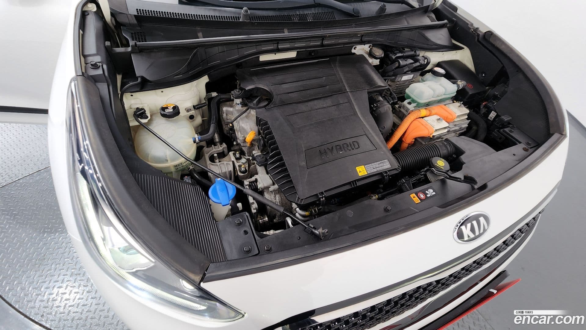 Main__Slider__Photo:Niro Kia 2019.0-5