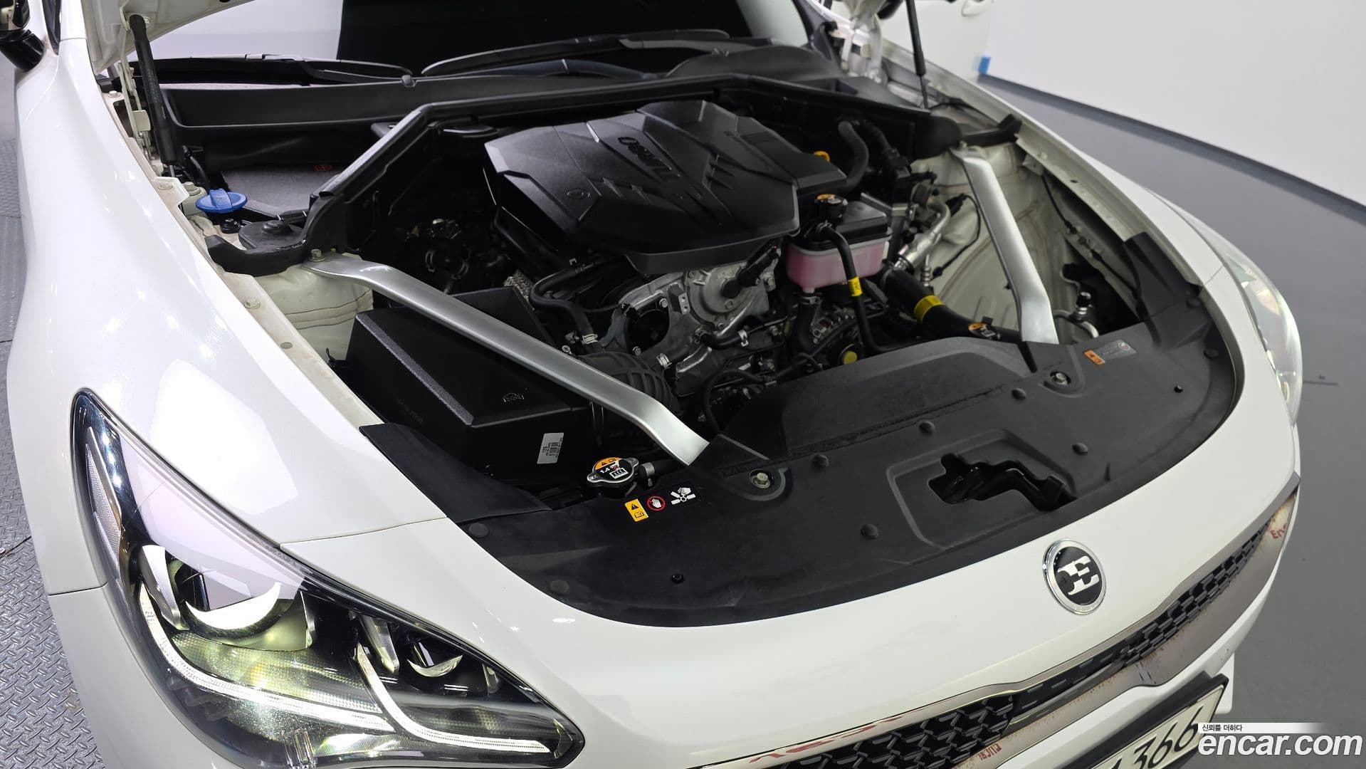 Main__Slider__Photo:Stinger Kia 2021.5-5