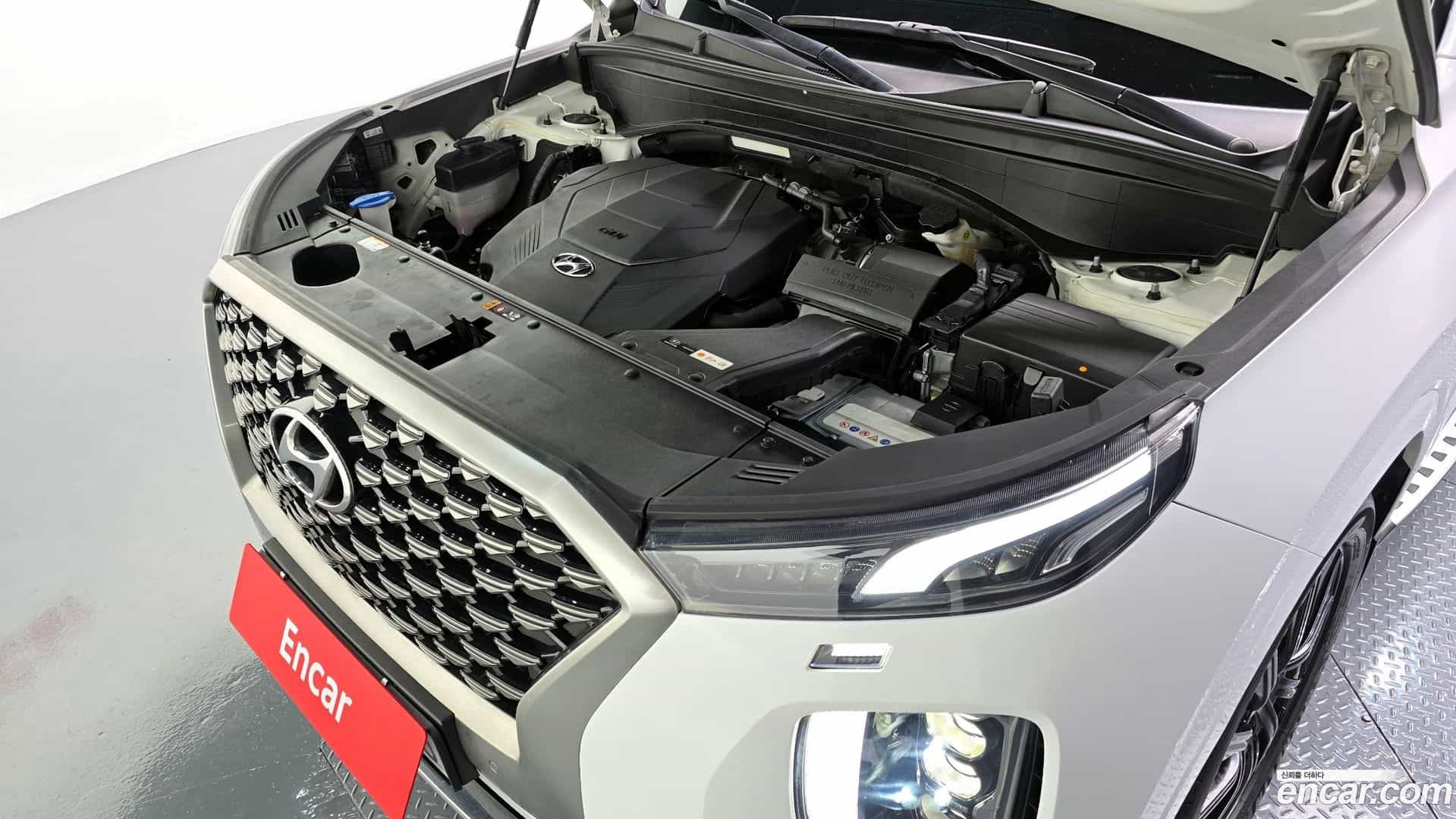 Palisade Hyundai 2020.10-OUTER-006