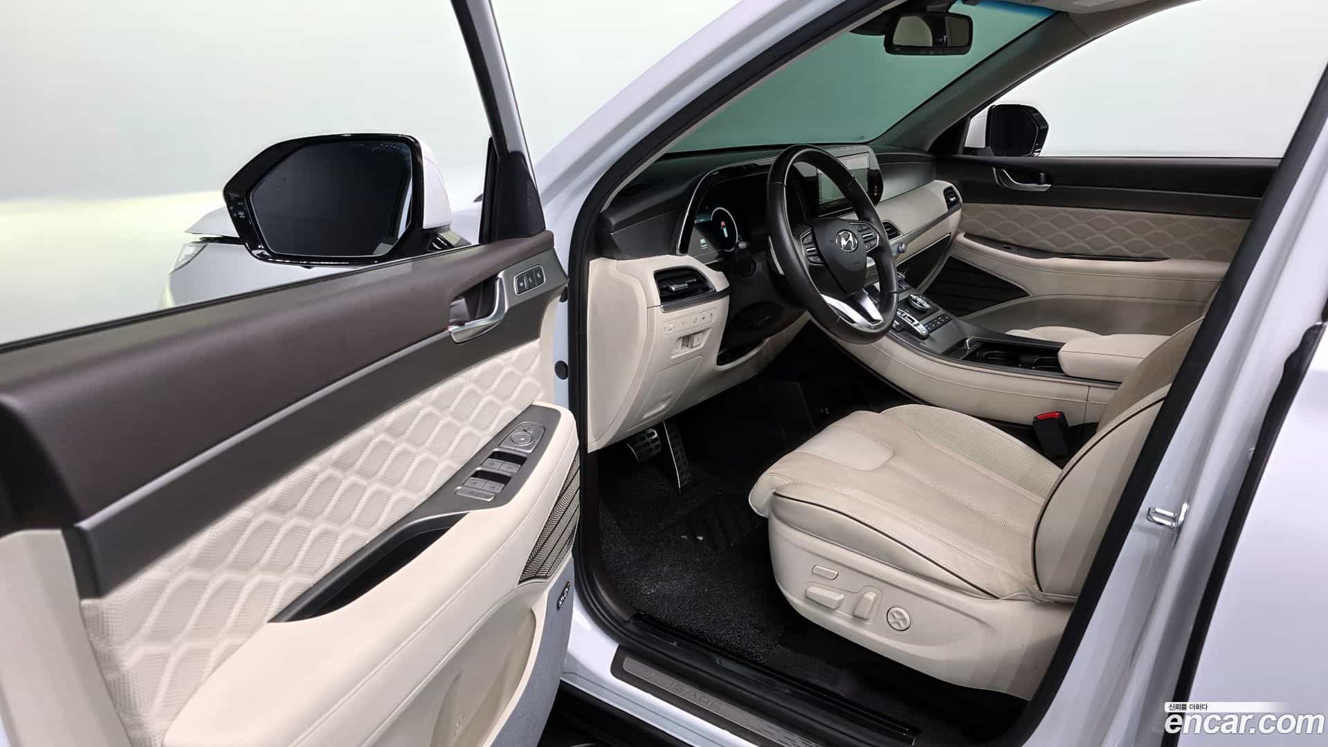 Palisade Hyundai 2020.10-OPTION-015