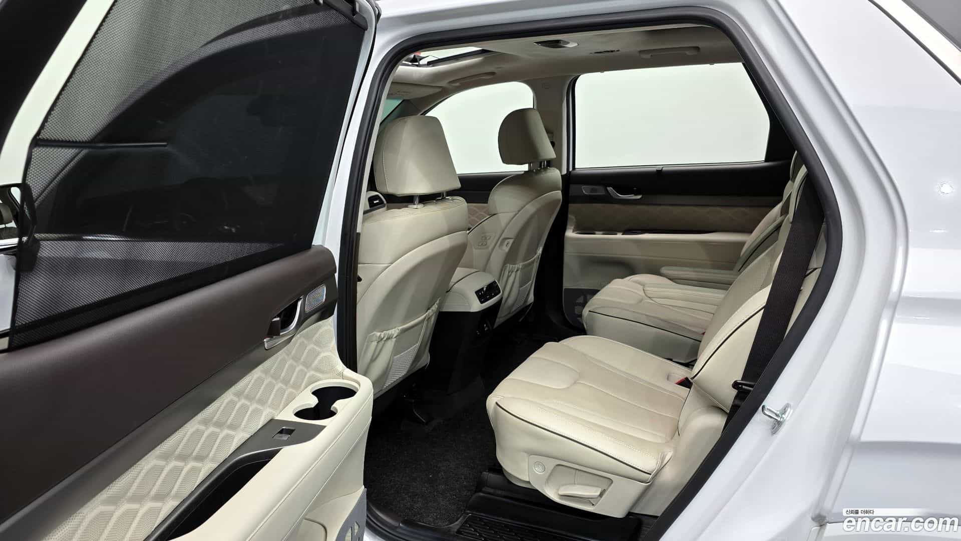 Palisade Hyundai 2020.10-OPTION-016