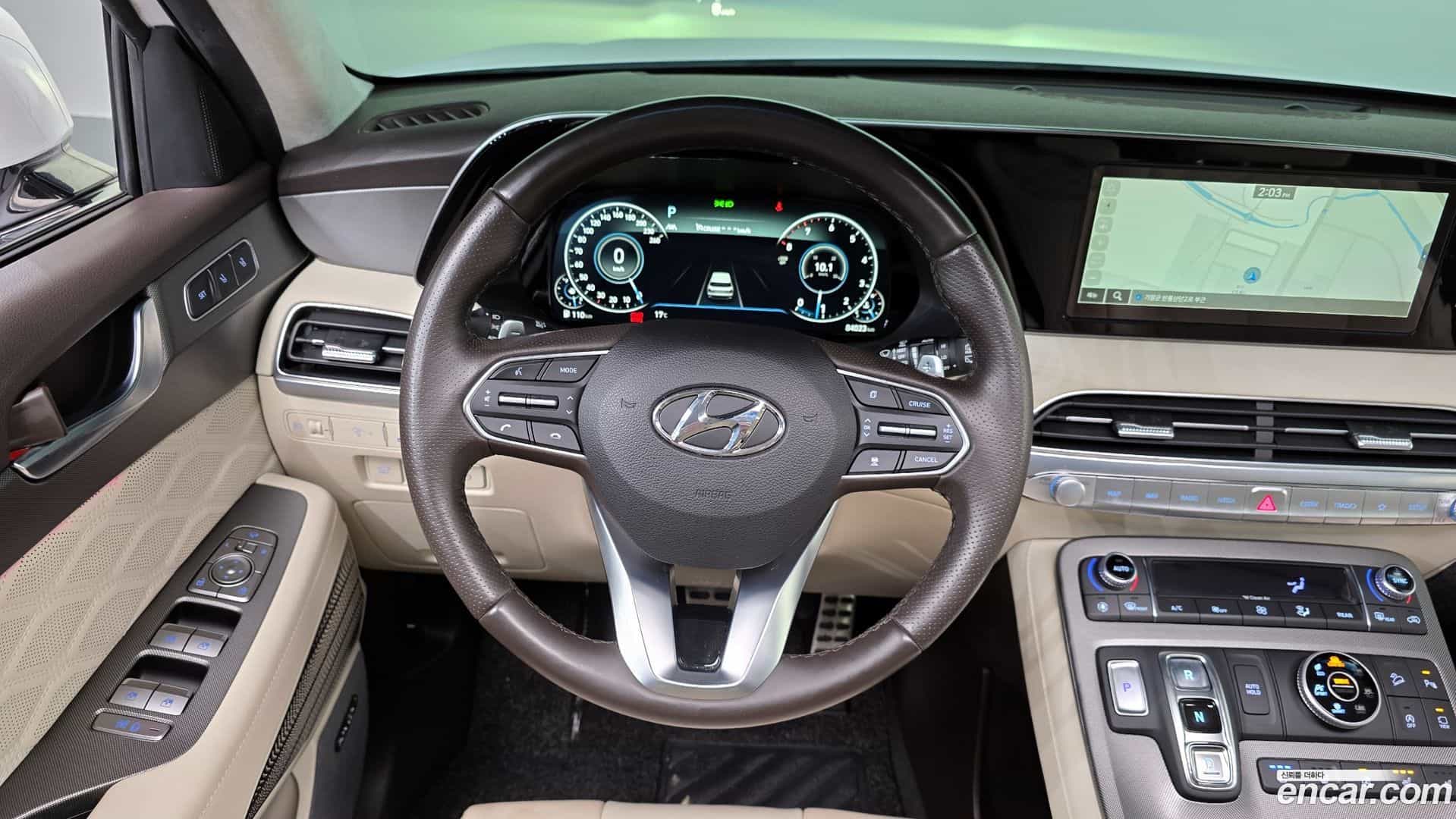 Palisade Hyundai 2020.10-OPTION-017