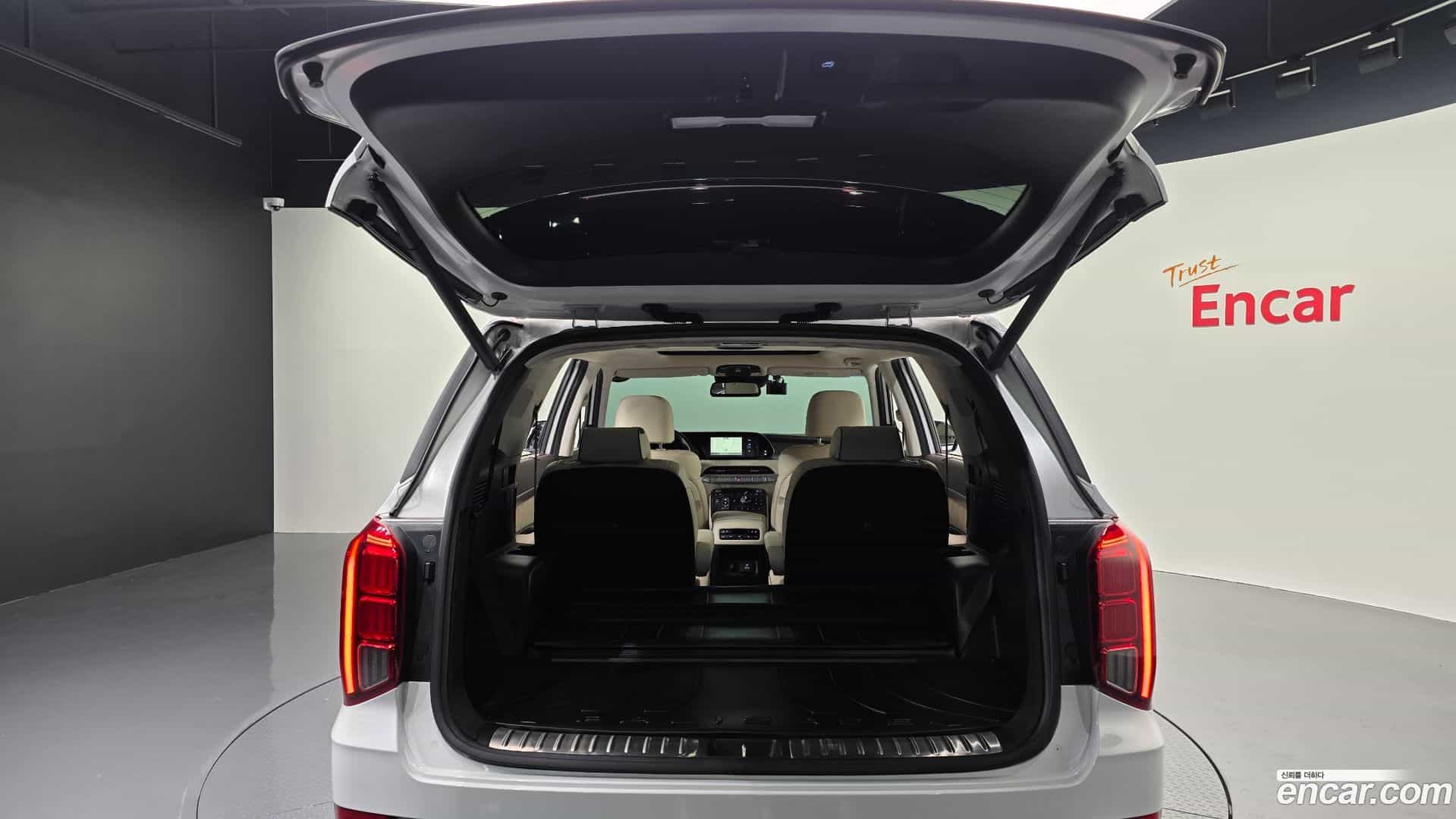 Palisade Hyundai 2020.10-OPTION-024