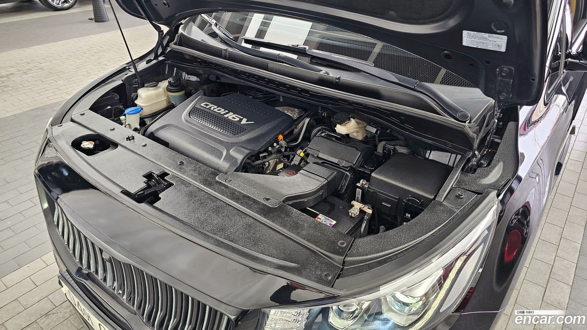 Main__Slider__Photo:Canival Kia 2016.8-5