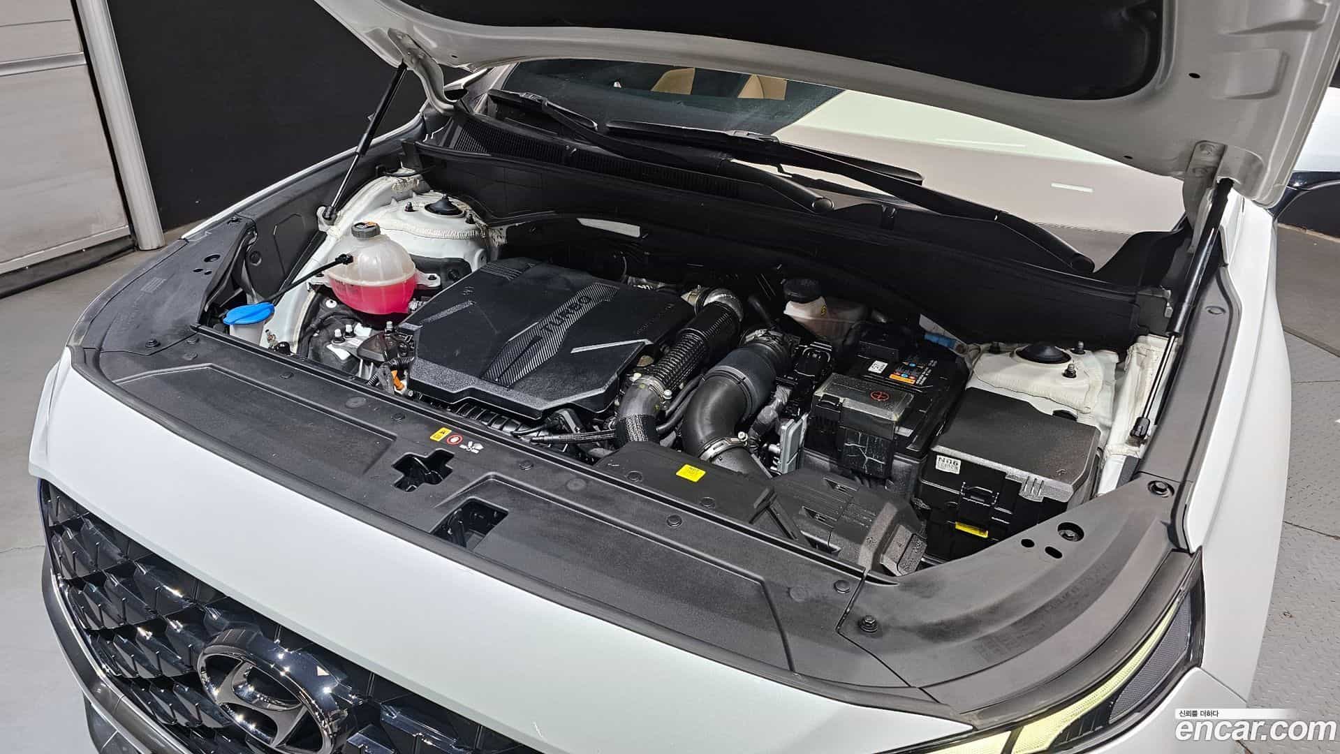 Santafe Hyundai 2023.4-OUTER-006