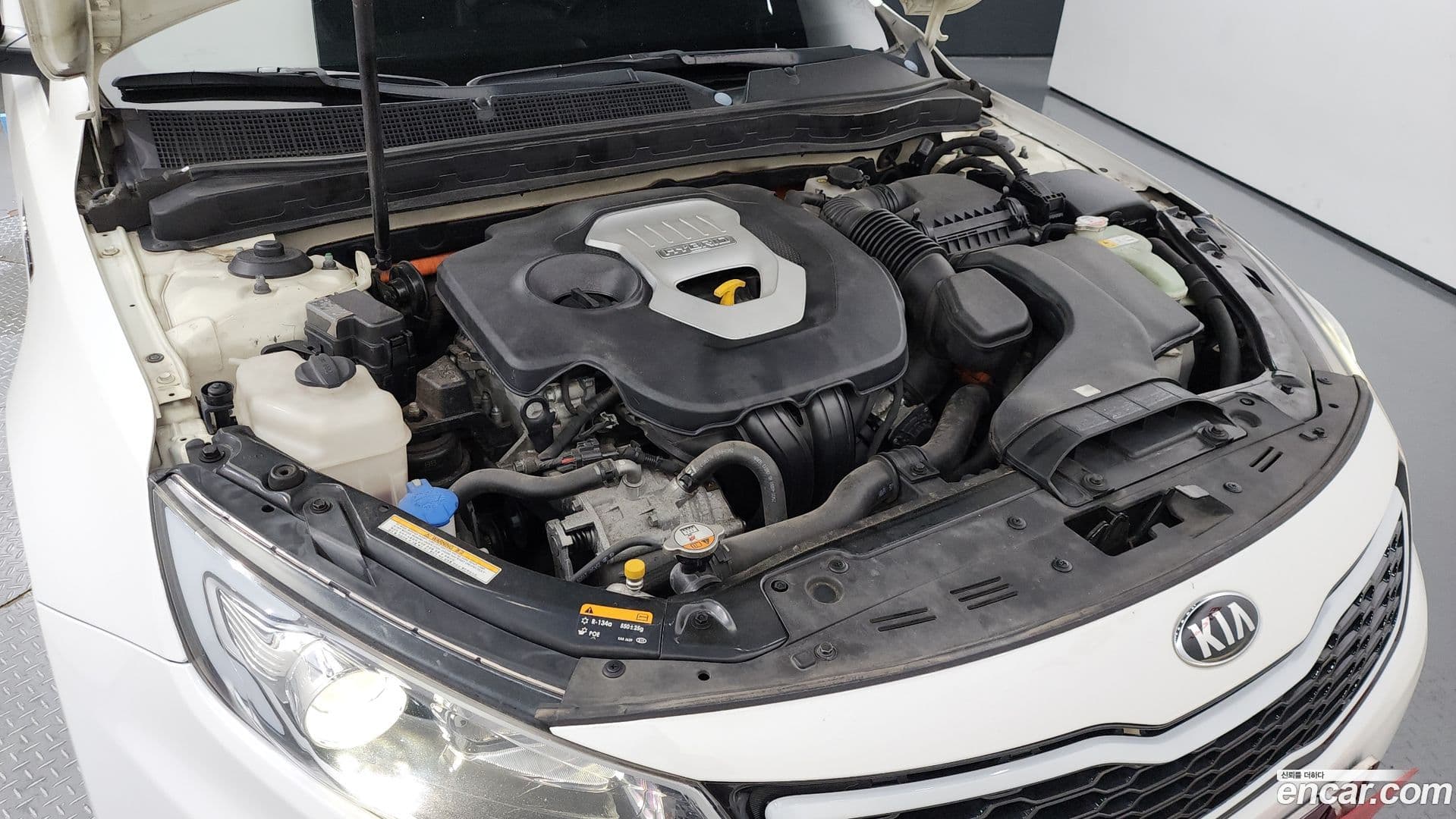 Main__Slider__Photo:K5 Kia 2013.6-5