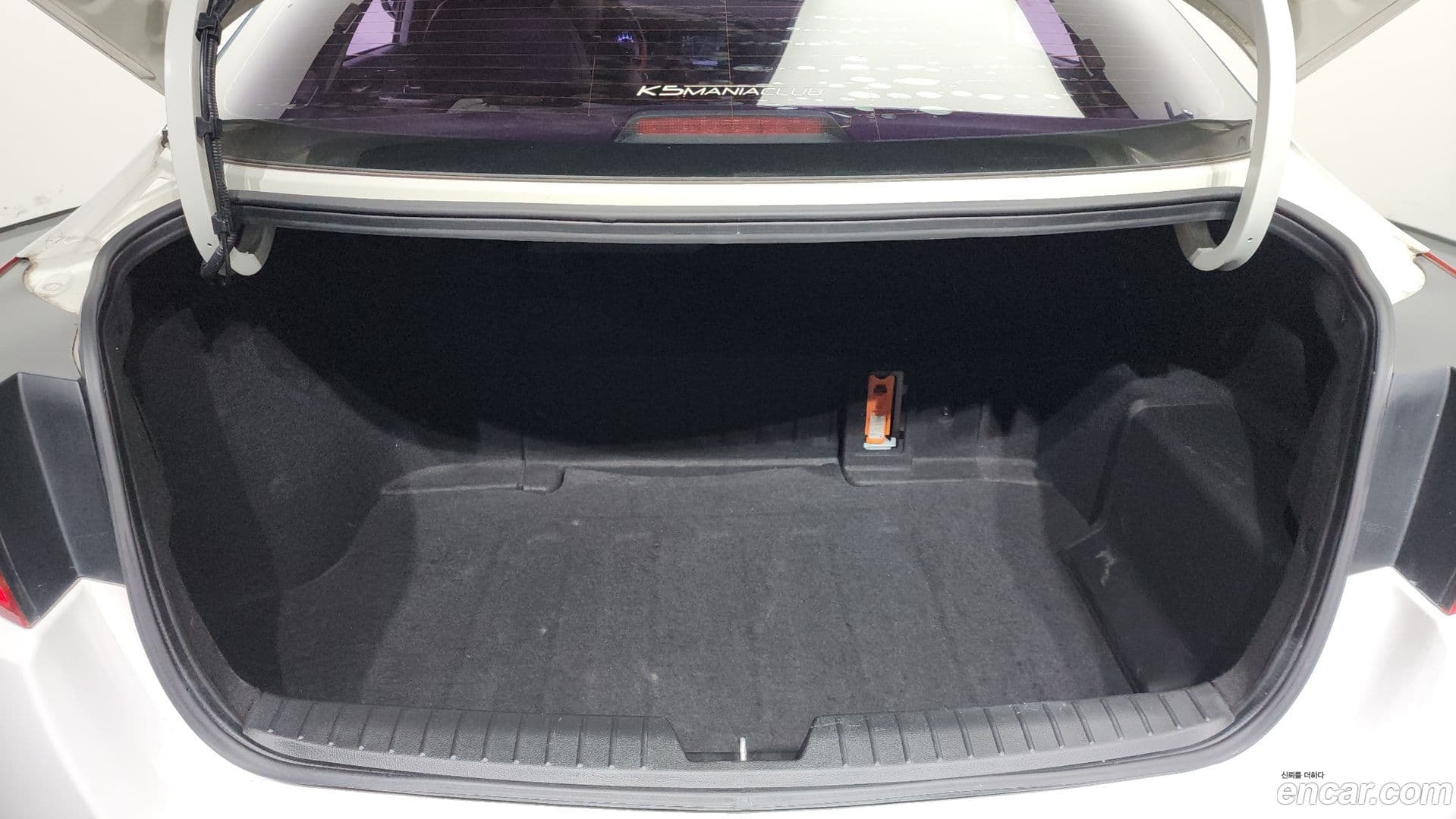 Main__Slider__Photo:K5 Kia 2013.6-19