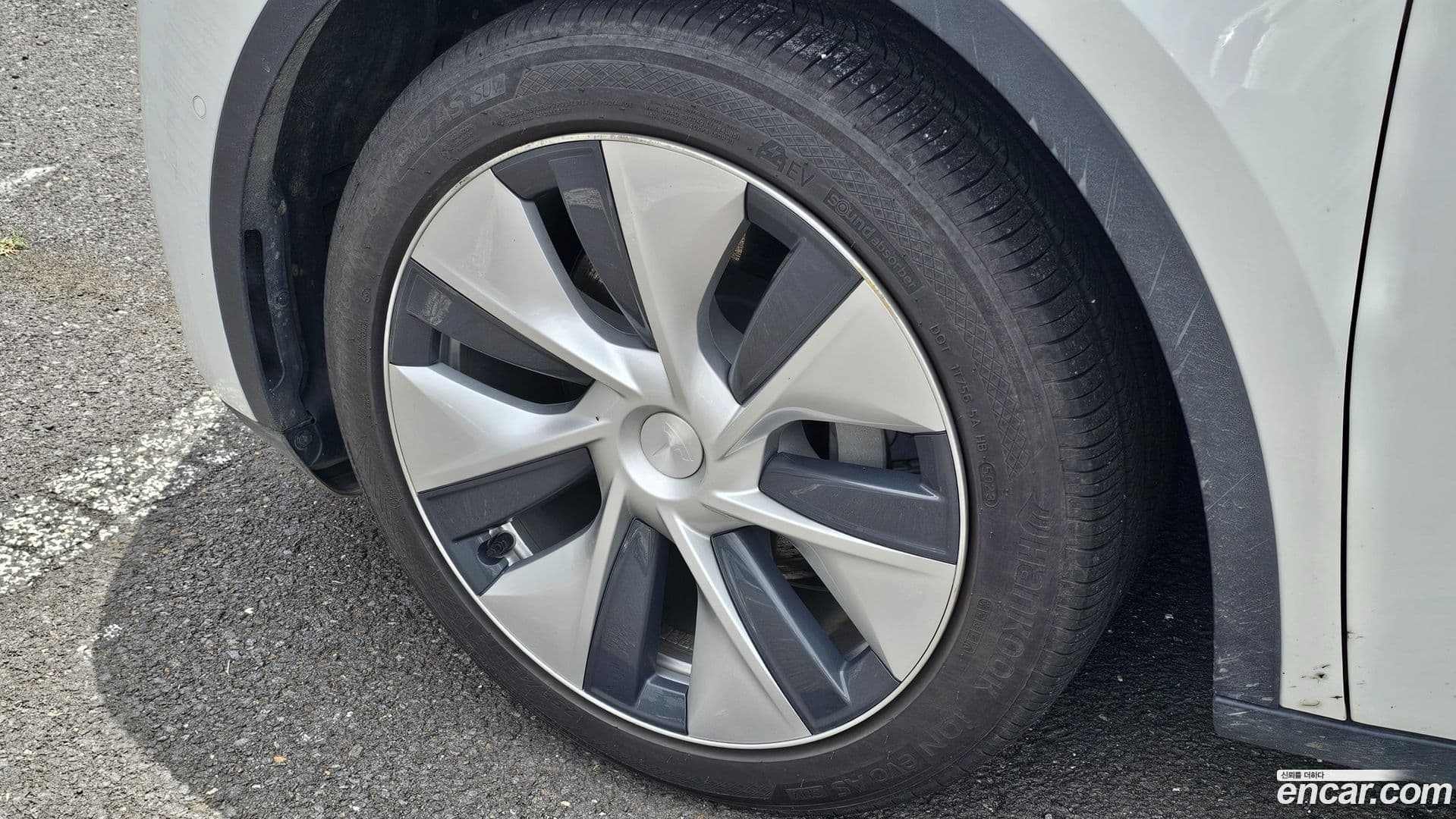 Main__Slider__Photo:Model Y Tesla 2021.5-5