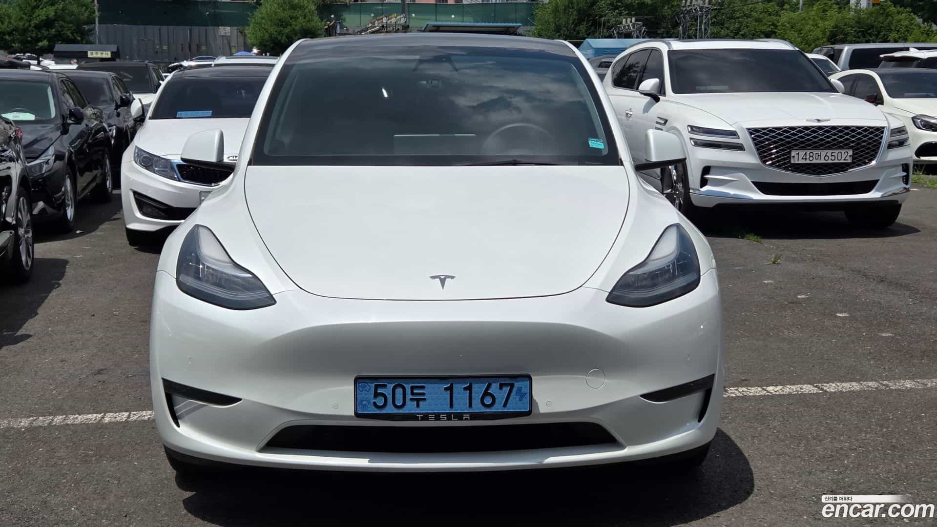 Model Y Tesla 2021.5-OPTION-016