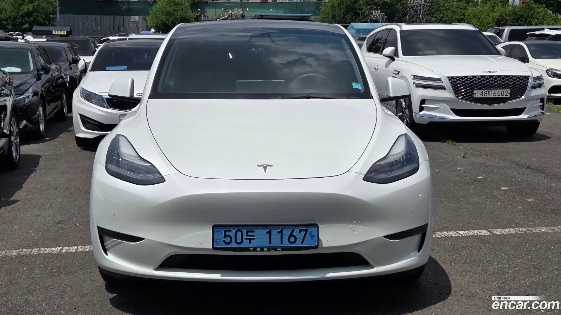 Main__Slider__Photo:Model Y Tesla 2021.5-11