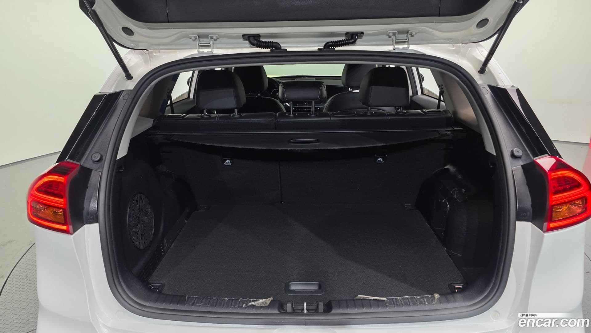 Main__Slider__Photo:Niro Kia 2021.9-19