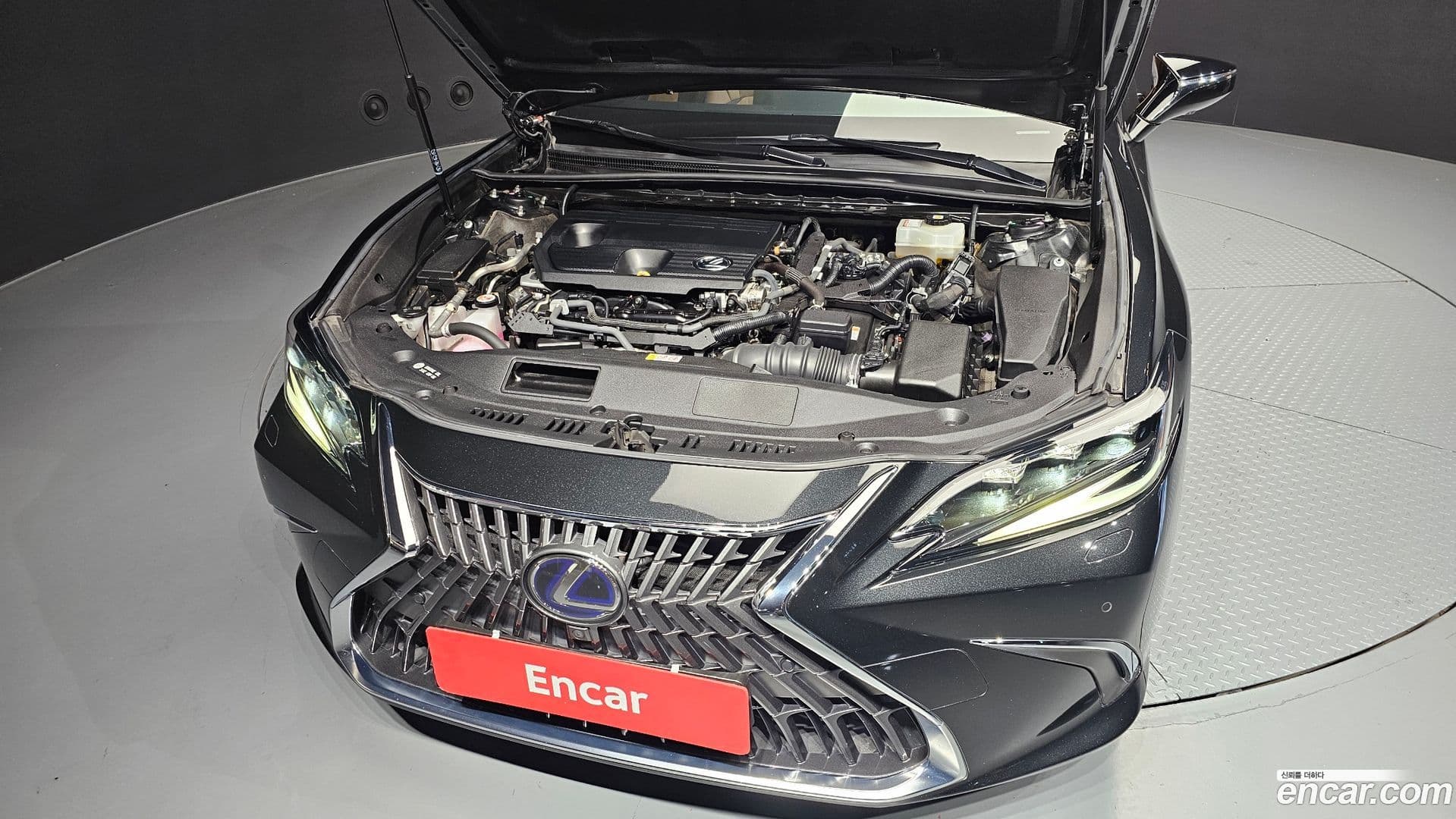 Main__Slider__Photo:ES Lexus 2022.5-5