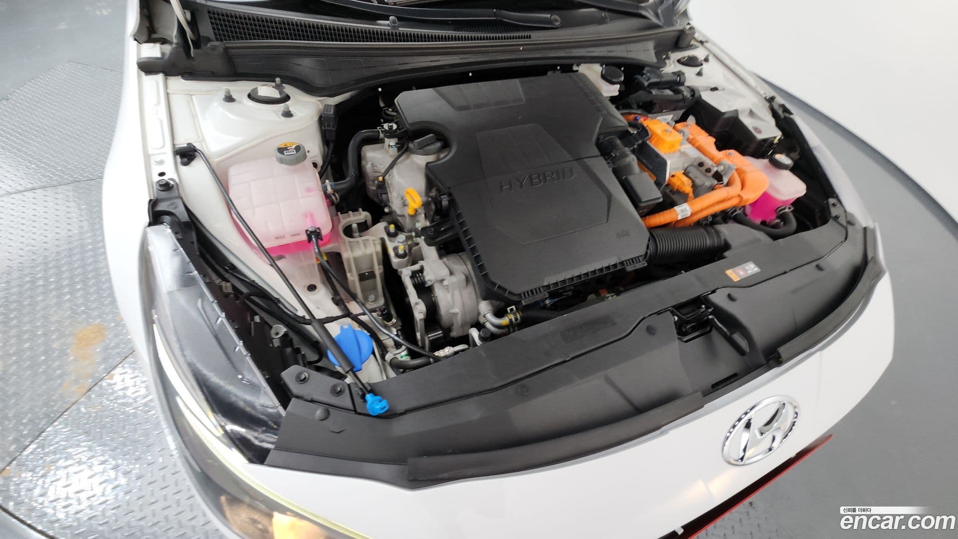 Main__Slider__Photo:AVANTE Hyundai 2022.4-5