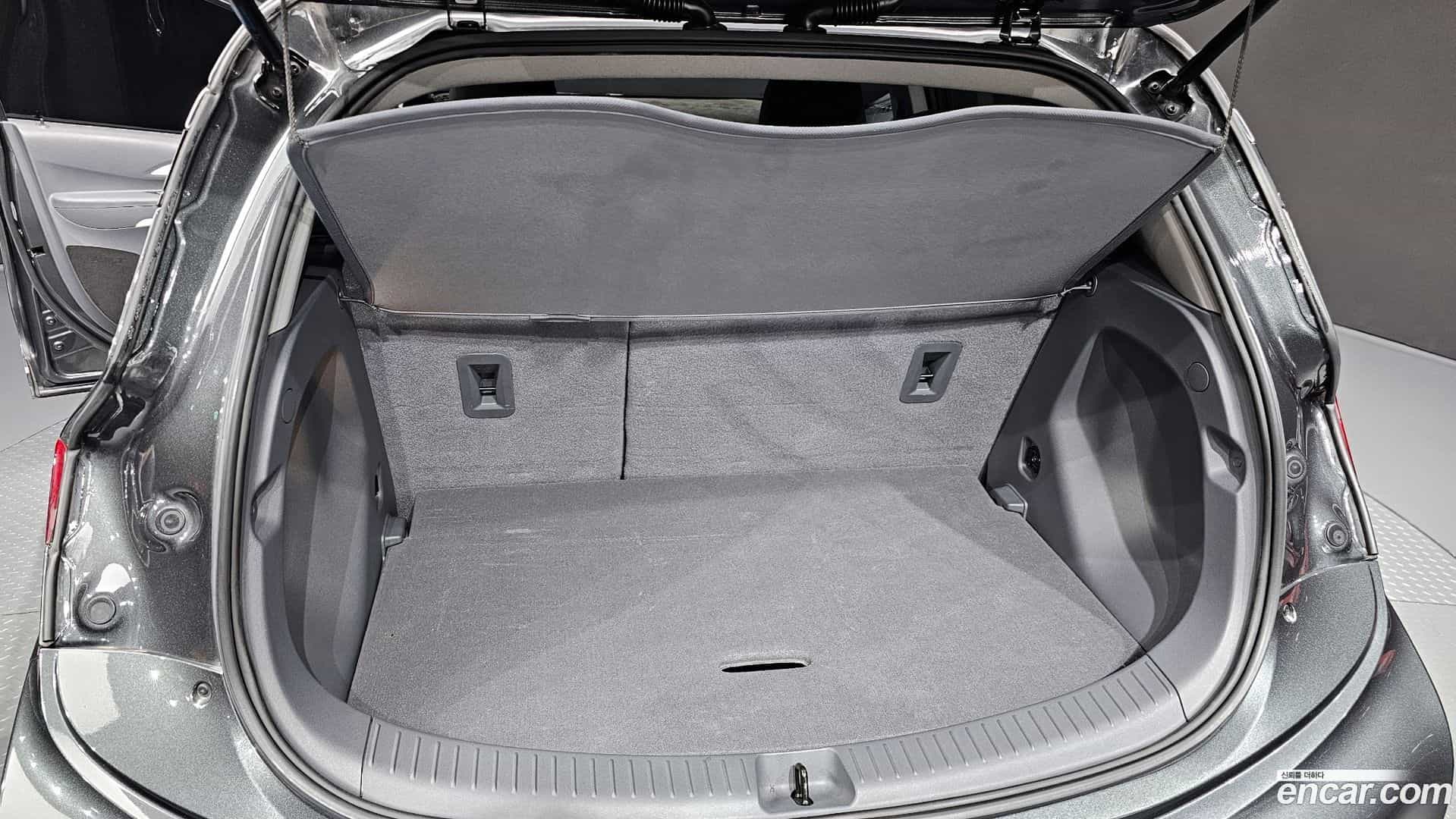 Bolt EV Chevrolet 2019.10-OPTION-024