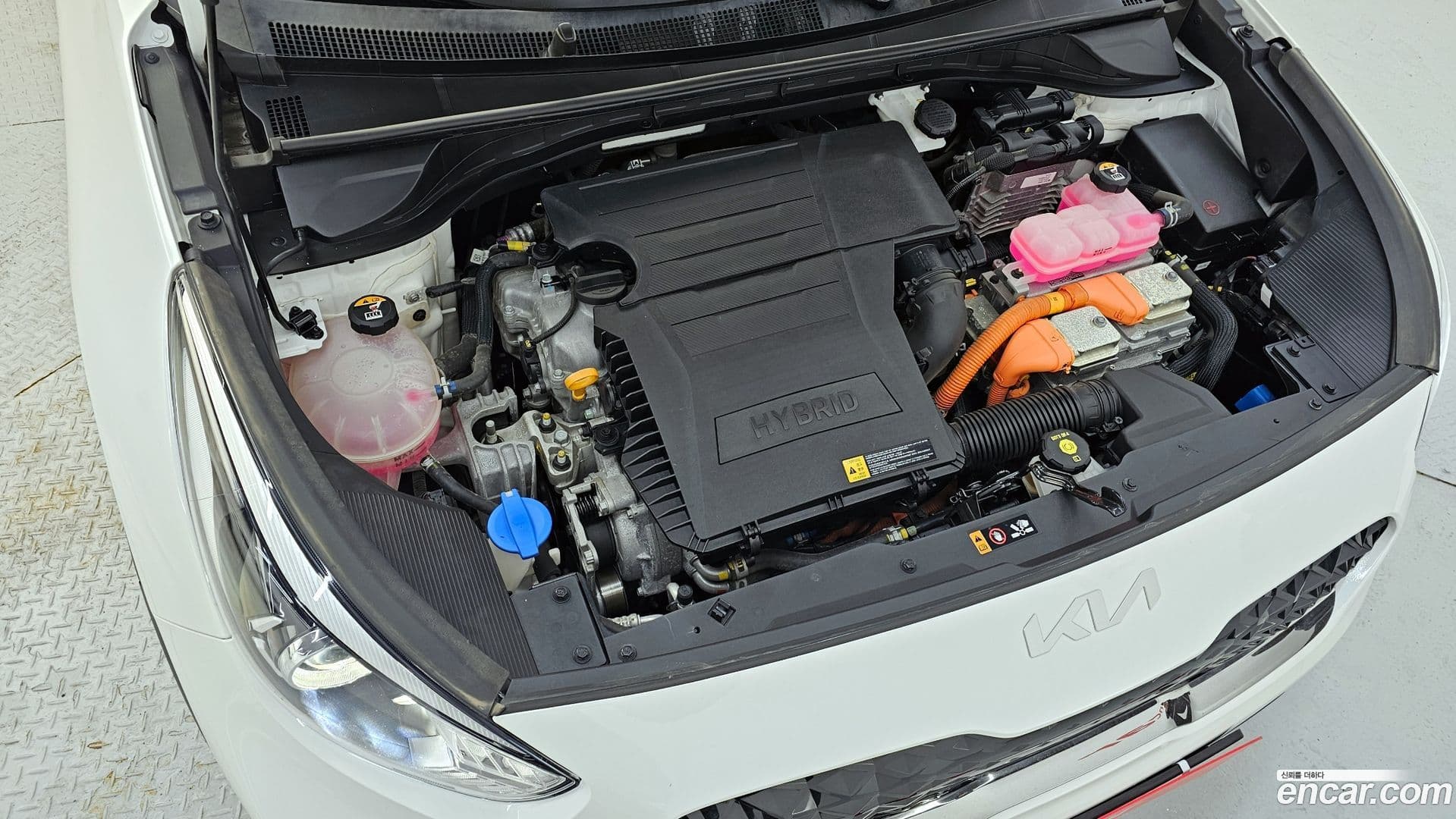 Main__Slider__Photo:Niro Kia 2021.10-5