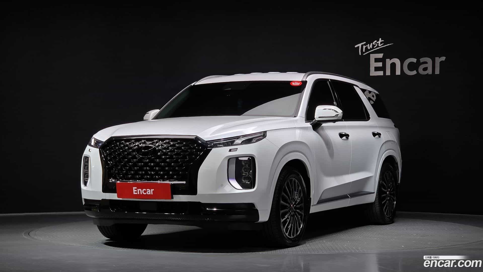 Palisade Hyundai 2021.1-OUTER-001