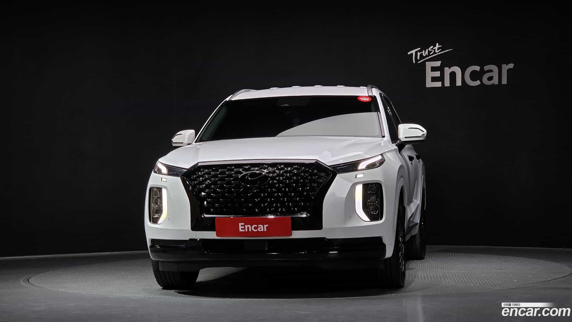 Palisade Hyundai 2021.1-OUTER-003