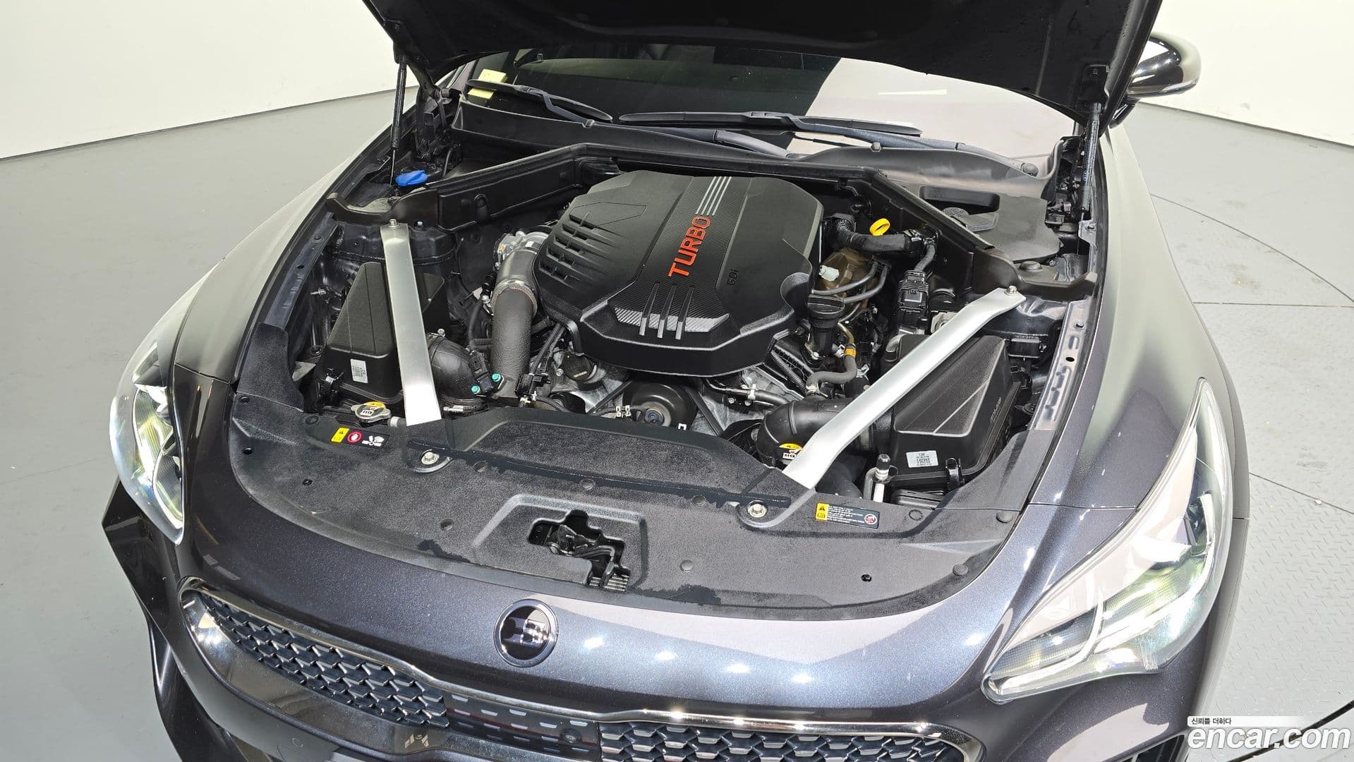 Main__Slider__Photo:Stinger Kia 2019.5-5