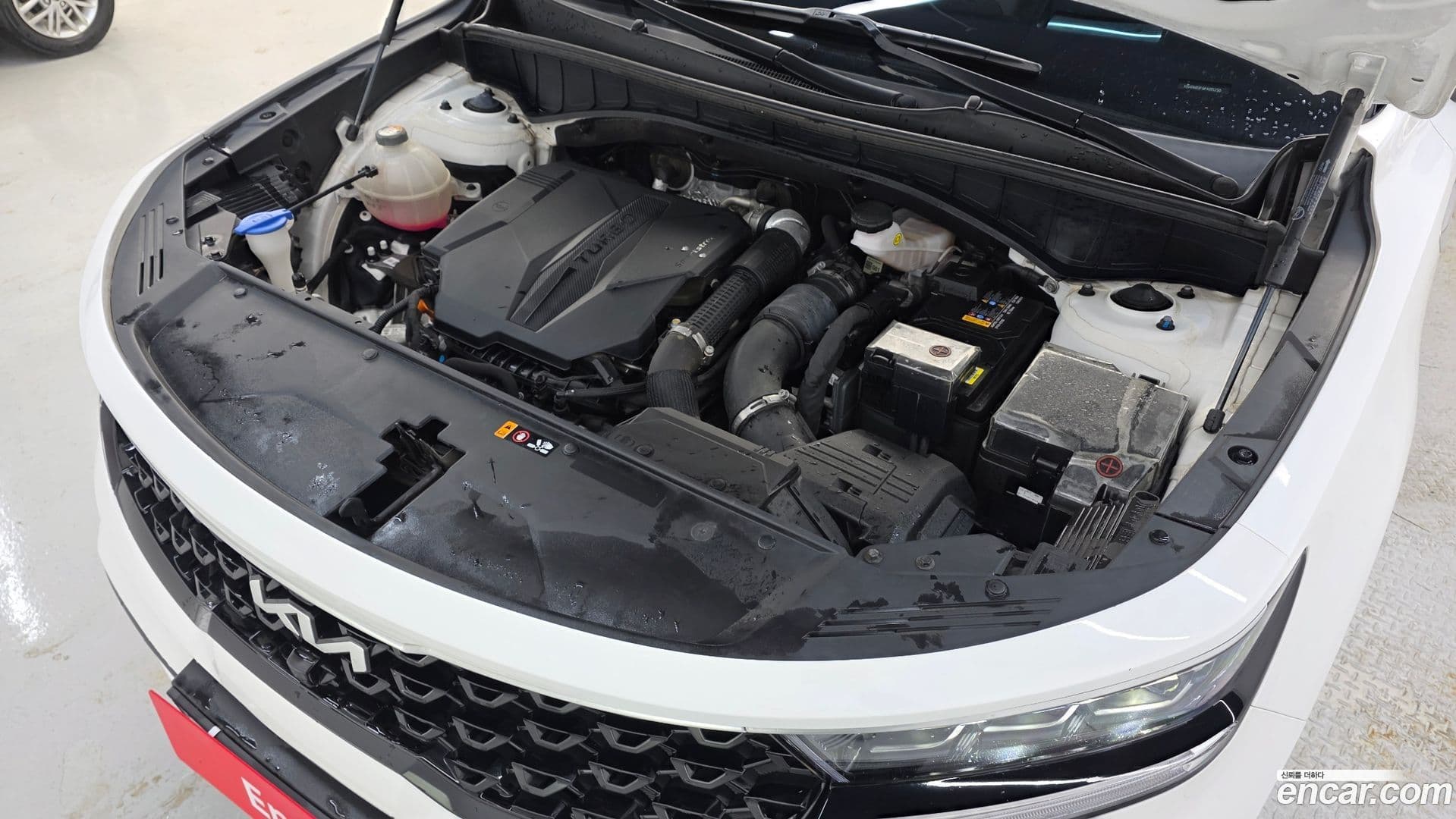 Main__Slider__Photo:Sorento Kia 2022.8-5