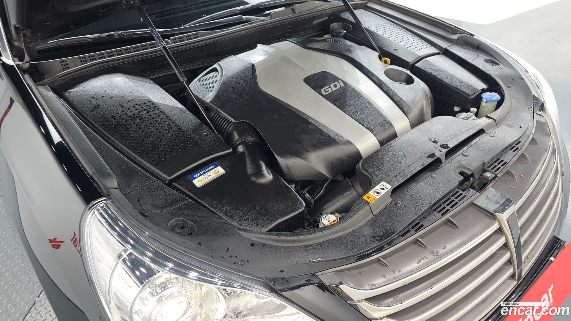 Main__Slider__Photo:Equus Hyundai 2013.6-5