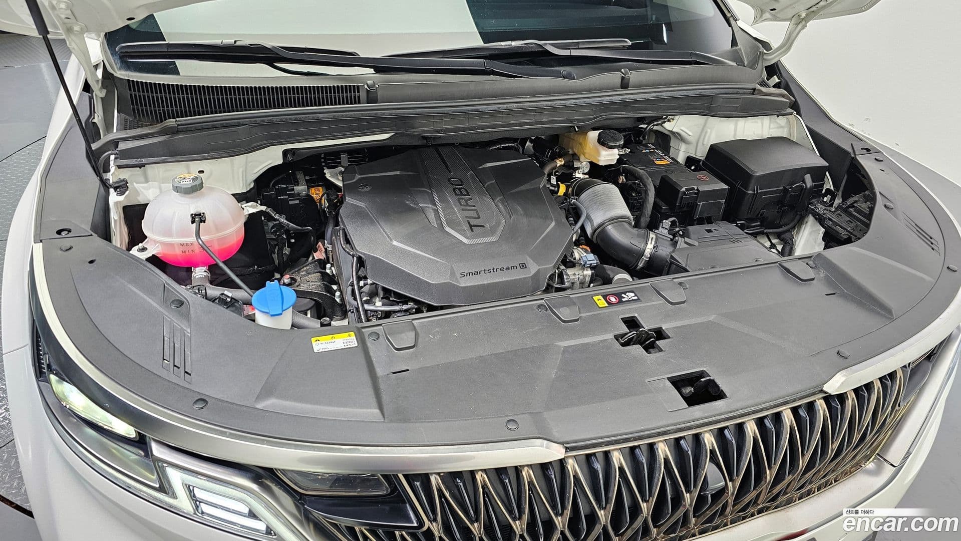 Main__Slider__Photo:Canival Kia 2023.0-5