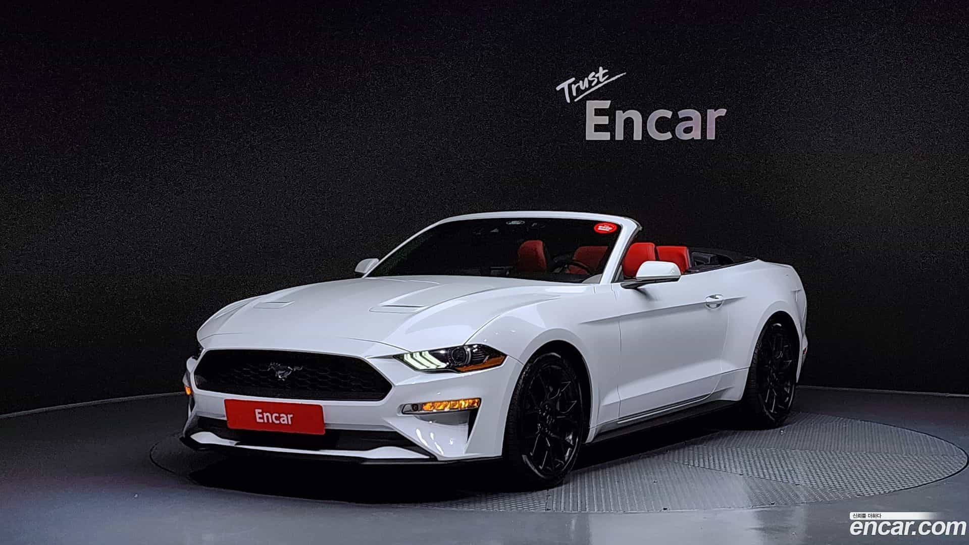 Mustang Ford 2023.4-OUTER-001