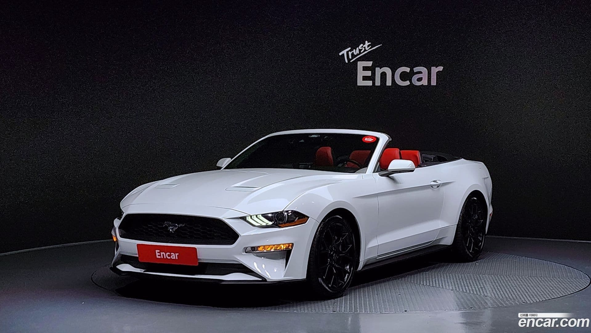 Main__Slider__Photo:Mustang Ford 2023.4-0