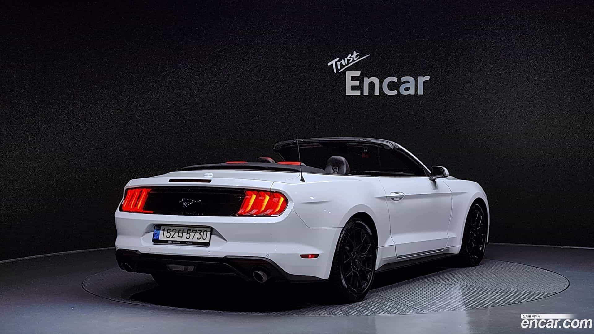 Mustang Ford 2023.4-OUTER-002