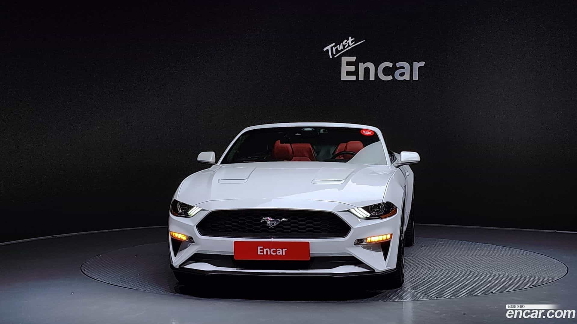 Mustang Ford 2023.4-OUTER-003