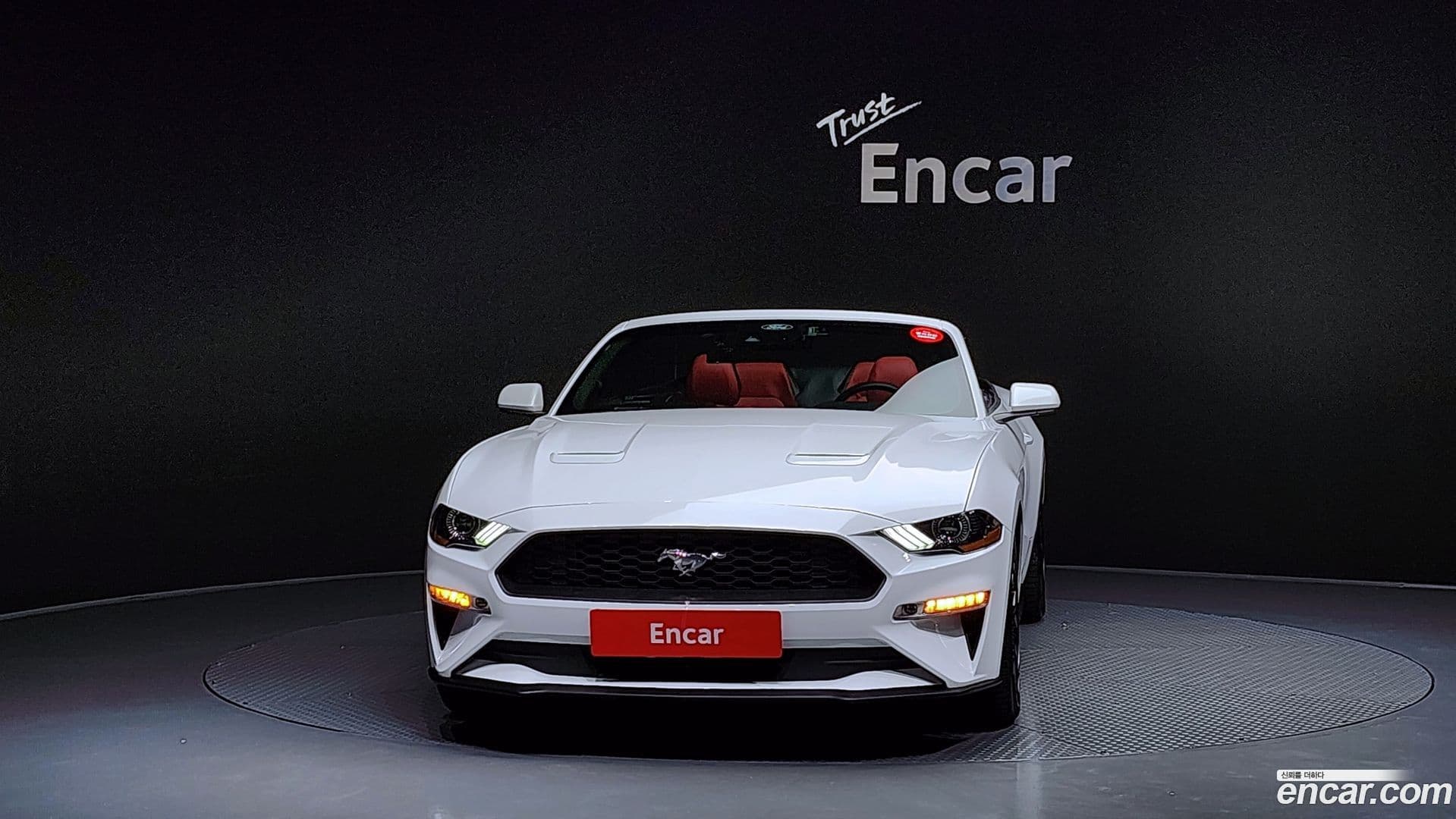 Main__Slider__Photo:Mustang Ford 2023.4-2