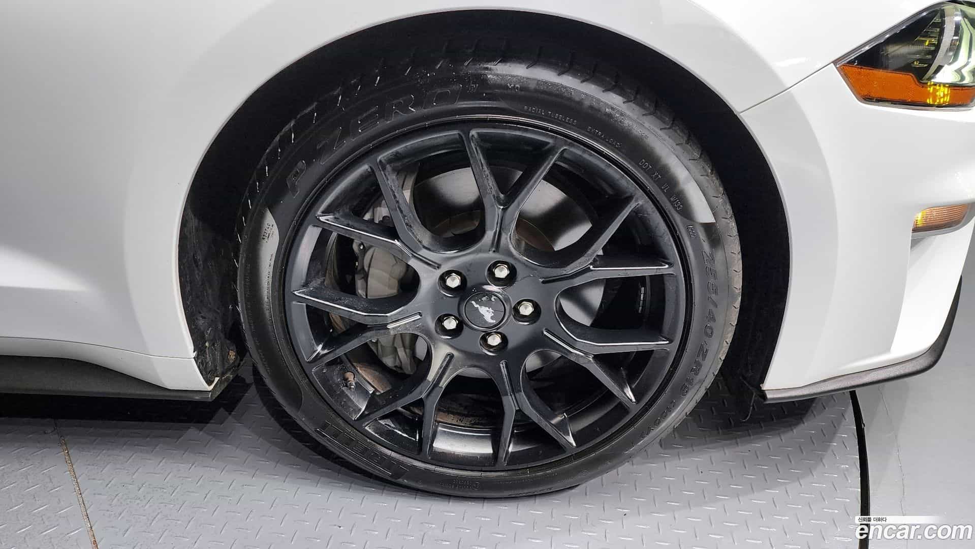 Mustang Ford 2023.4-OUTER-005