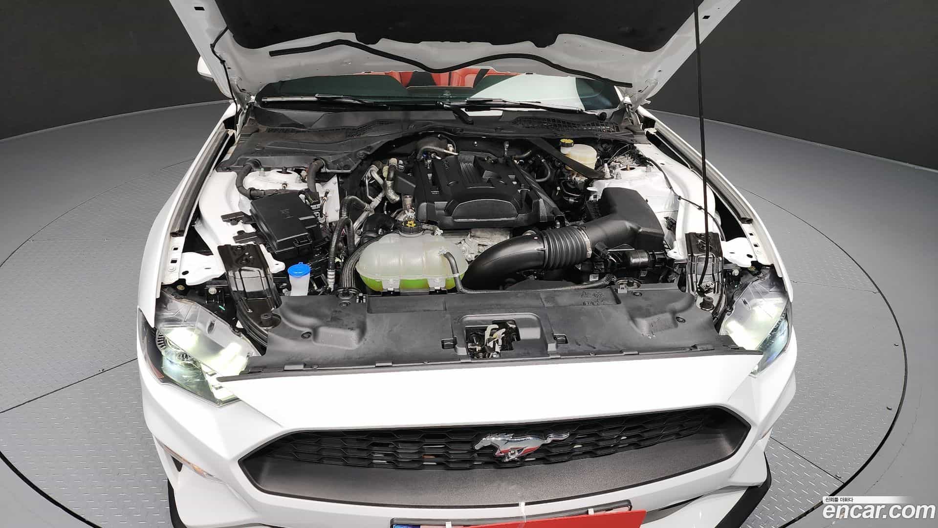 Mustang Ford 2023.4-INNER-006