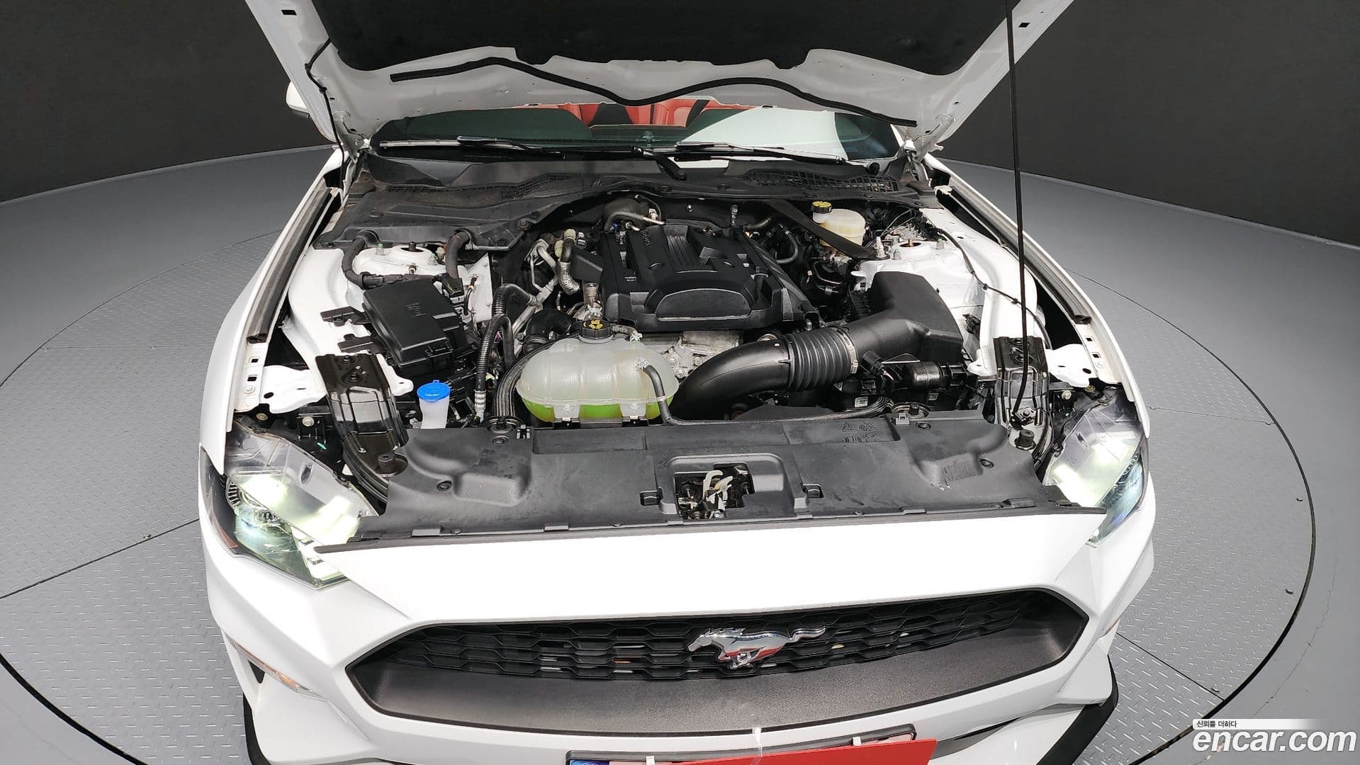 Main__Slider__Photo:Mustang Ford 2023.4-5