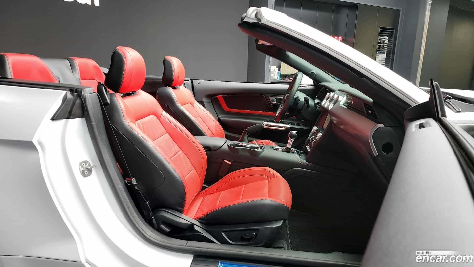 Mustang Ford 2023.4-OPTION-015