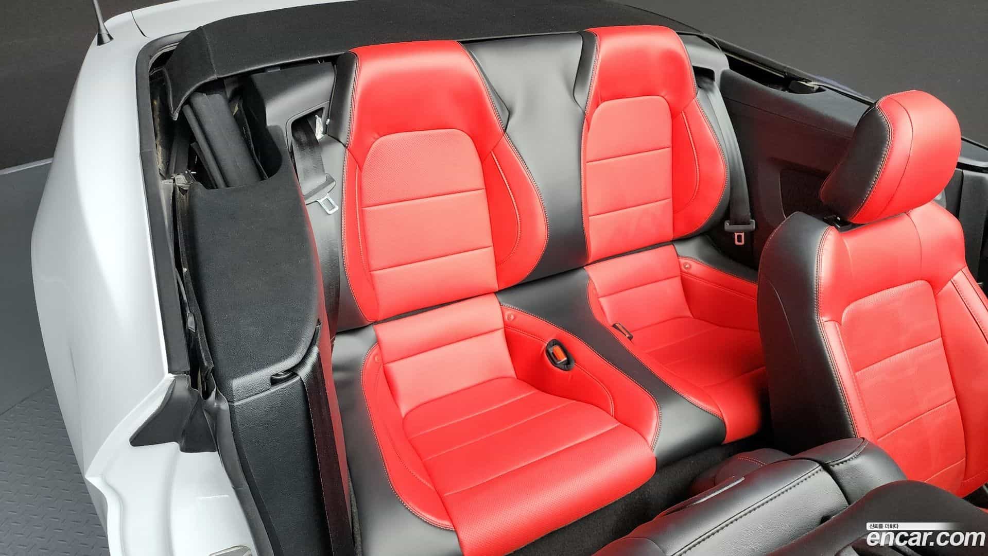 Mustang Ford 2023.4-OPTION-016