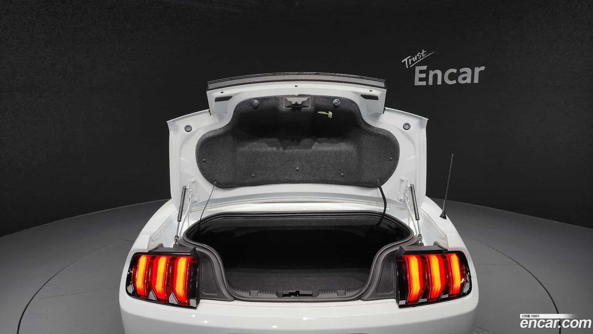 Mustang Ford 2023.4-OPTION-022