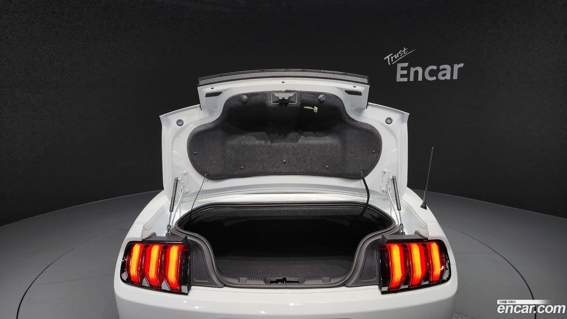 Main__Slider__Photo:Mustang Ford 2023.4-17