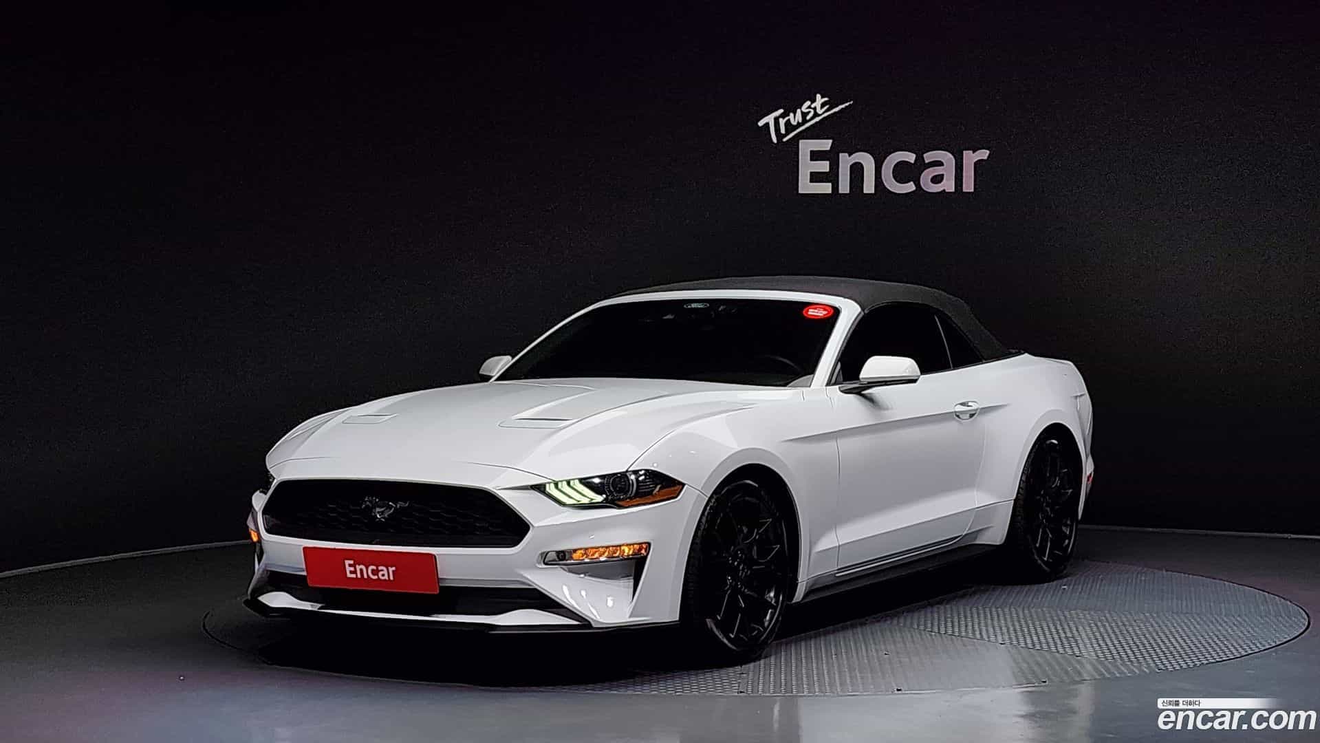 Mustang Ford 2023.4-OPTION-023