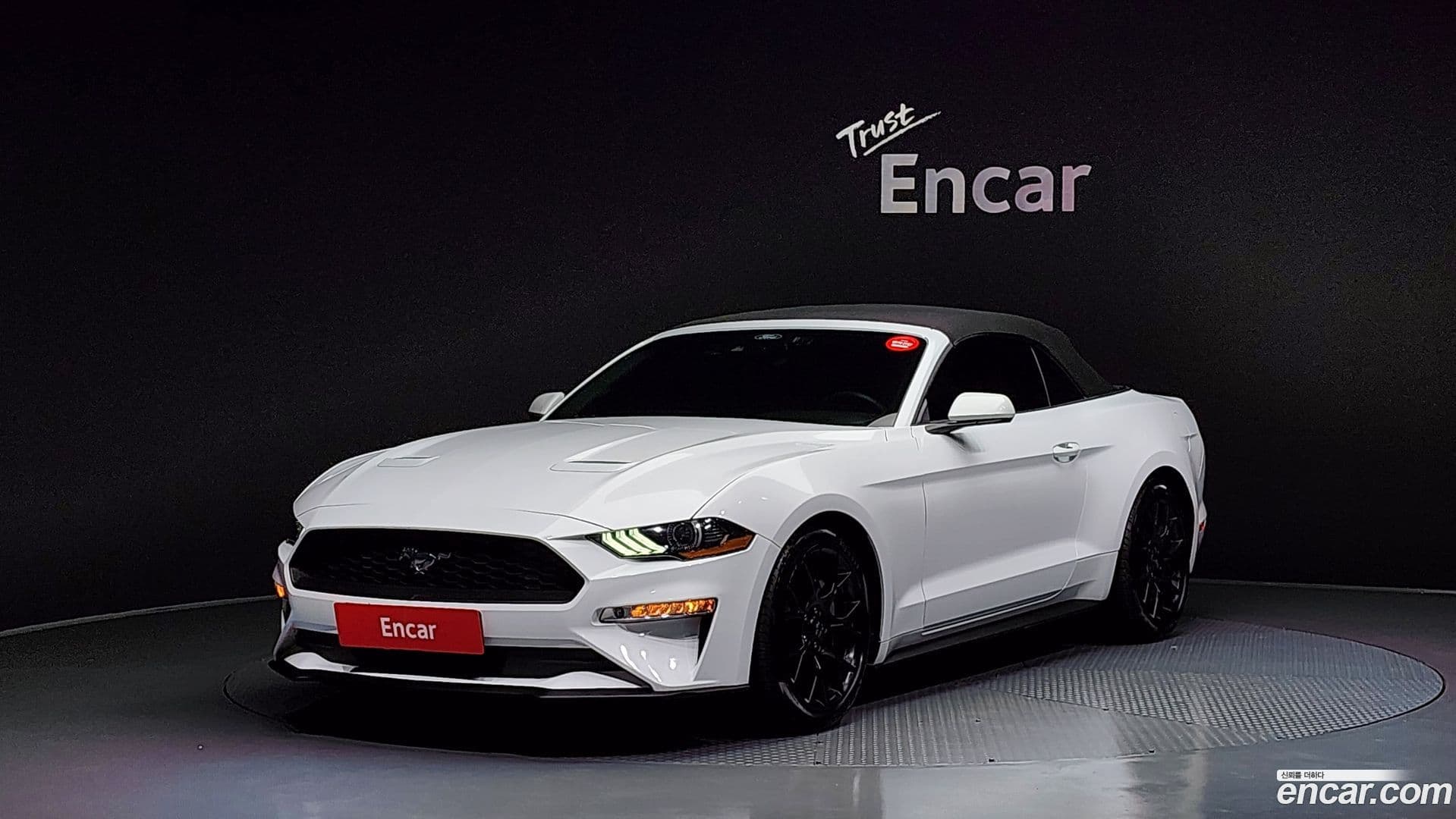 Main__Slider__Photo:Mustang Ford 2023.4-18