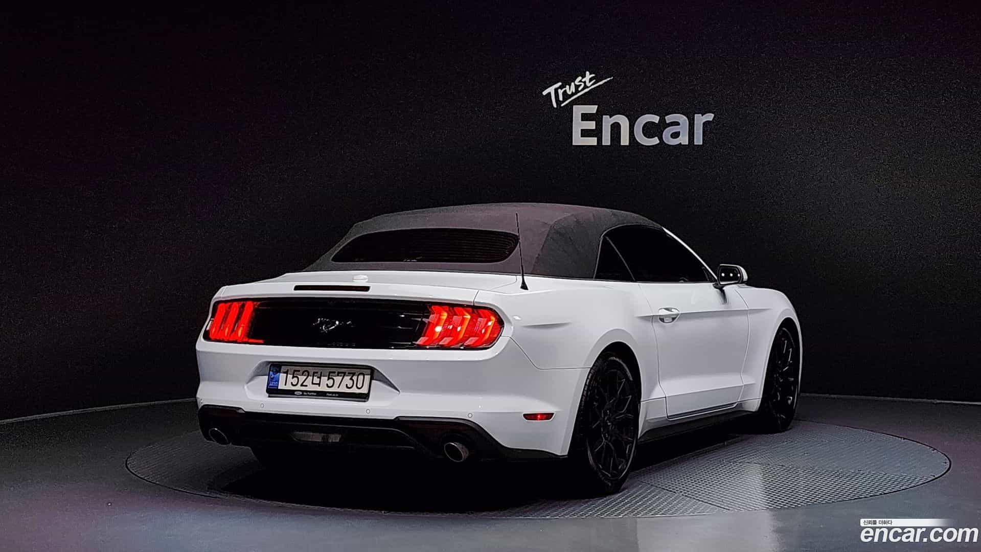 Mustang Ford 2023.4-OPTION-024