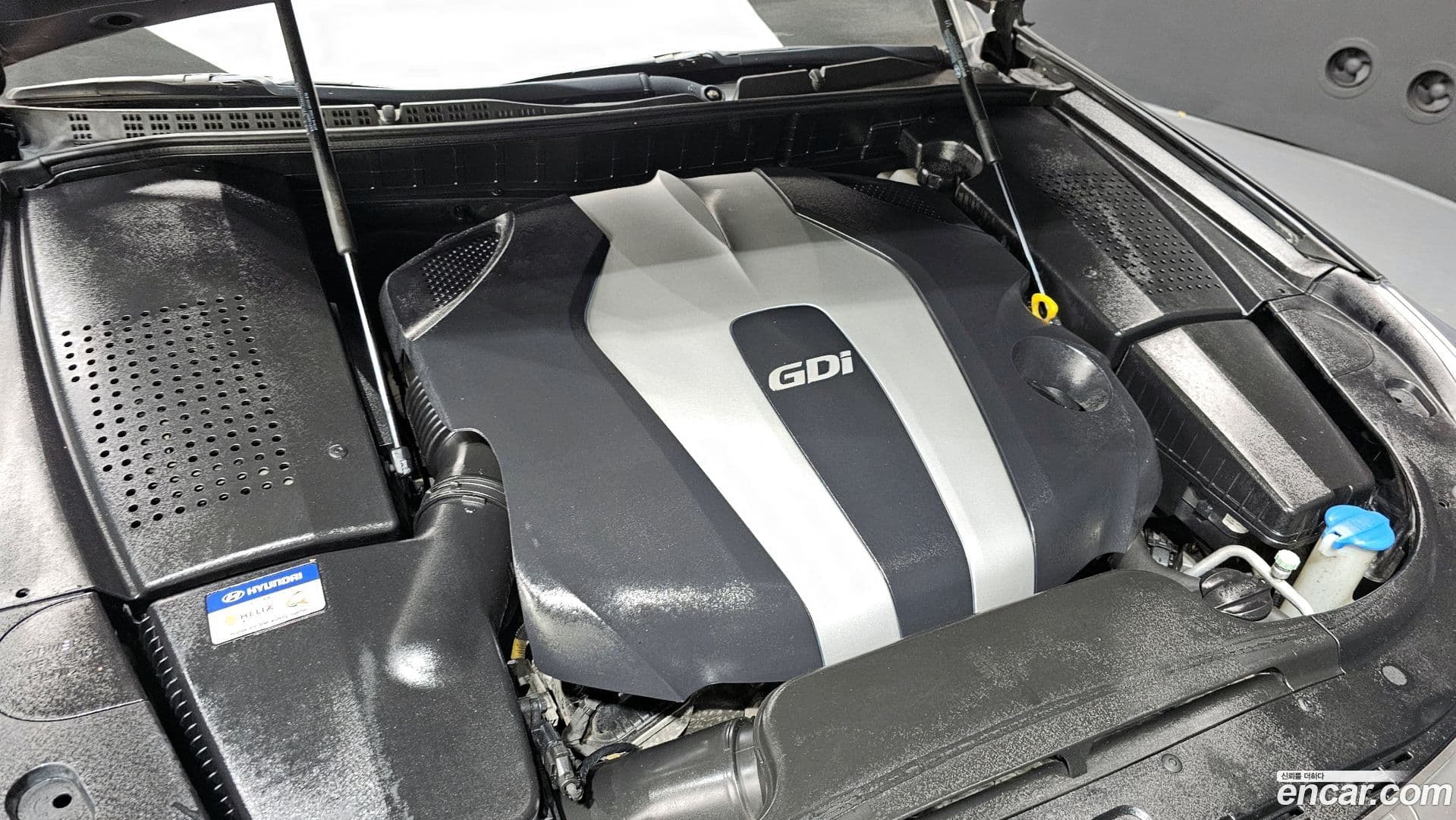 Main__Slider__Photo:Equus Hyundai 2013.11-5